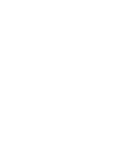 vector-icon